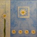 089 Daisies  - 3 ply - Paper Design